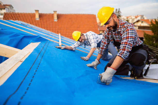 Best Roof Gutter Cleaning  in Spearman, TX